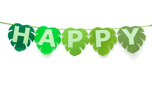 Preview: Happy Birthday name banner in white background, Green leaf pattern themed garland.