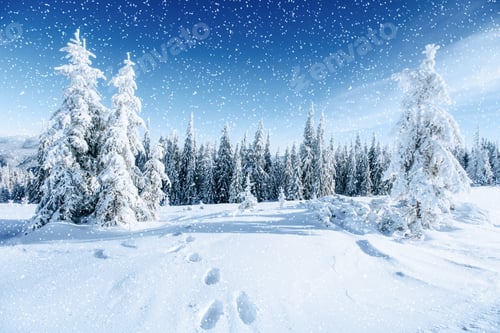 Preview: Fantastic winter landscape and trodden trails that lead into the