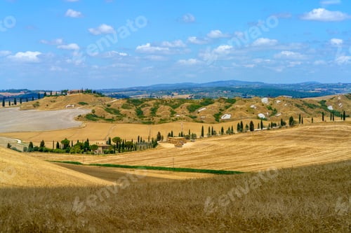 Preview: Rural landscape in Val d Orcia, Tuscany, Italy