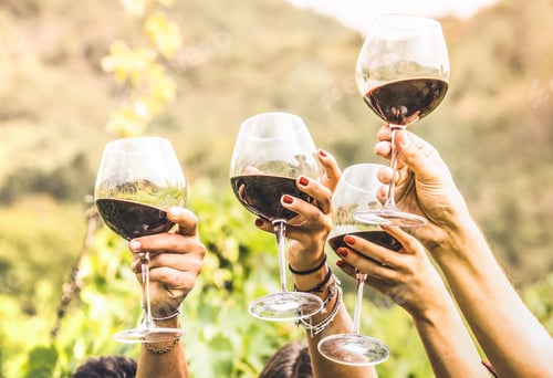 Preview: Hands toasting red wine glass and friends having fun cheering at winetasting experience