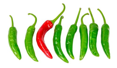 Preview: Green and red chili pepper isolated on a white background