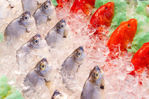 Preview: Fish selling in wet market