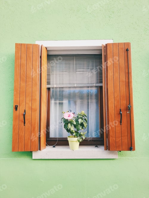 Preview: Window on a colorful light green wall with a flower in a pot on the windowsill