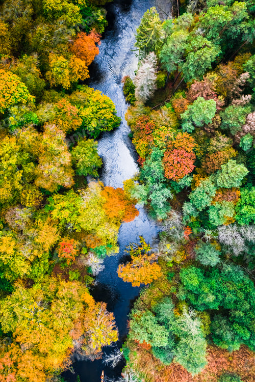 Preview: Kayaking on river in autumn forest, Poland
