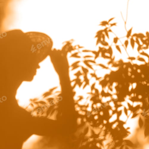 Preview: Woman in hat shadow and leaves.