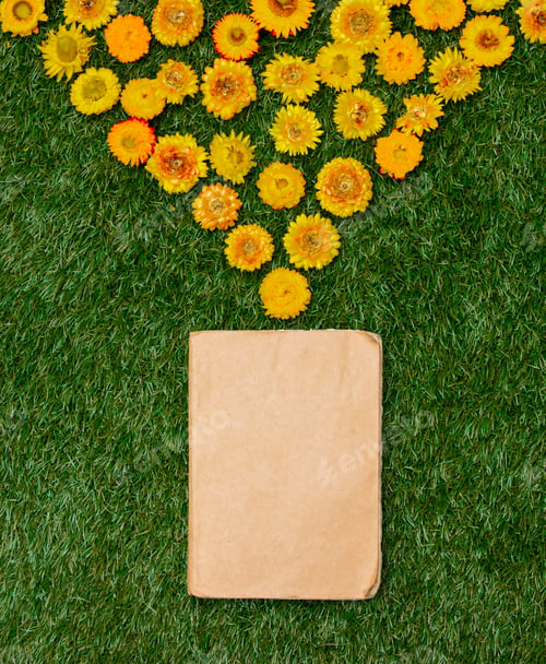 Preview: Yellow dandelions and a book on green grass.