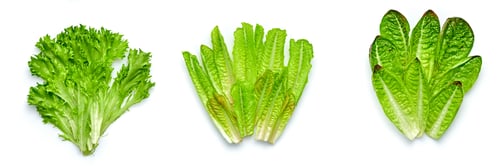 Preview: Row fresh greens collection cutout. Minimal mix grocery composition isolated on white. Health fibre