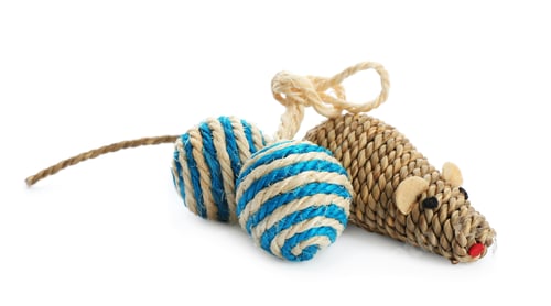 Preview: Cat's toys on white background