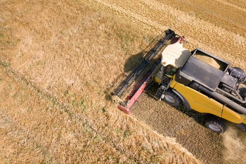Preview: Aerial view of combine harvester harvesting large ripe wheat field. Agriculture from drone view