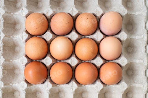 Preview: Square pallet for recycling chicken eggs with red chicken eggs. View from above