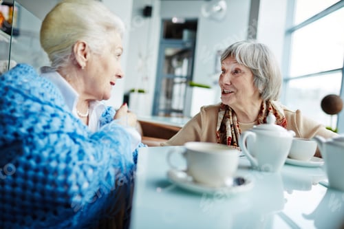 Preview: Conversation of two senior women