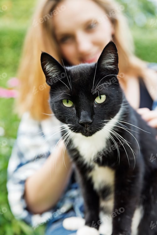 Preview: Portrait of a cat with smiling young woman in the background