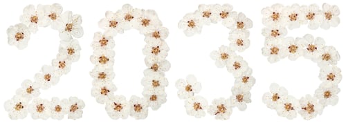 Preview: Inscription 2035, from natural white flowers of apricot tree, isolated on white background