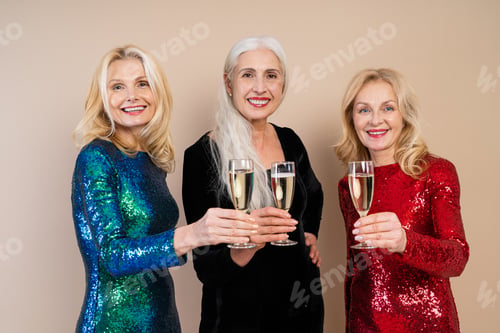 Preview: Happy senior women having party