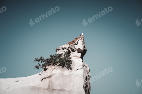Preview: Bird on top of stone cliff