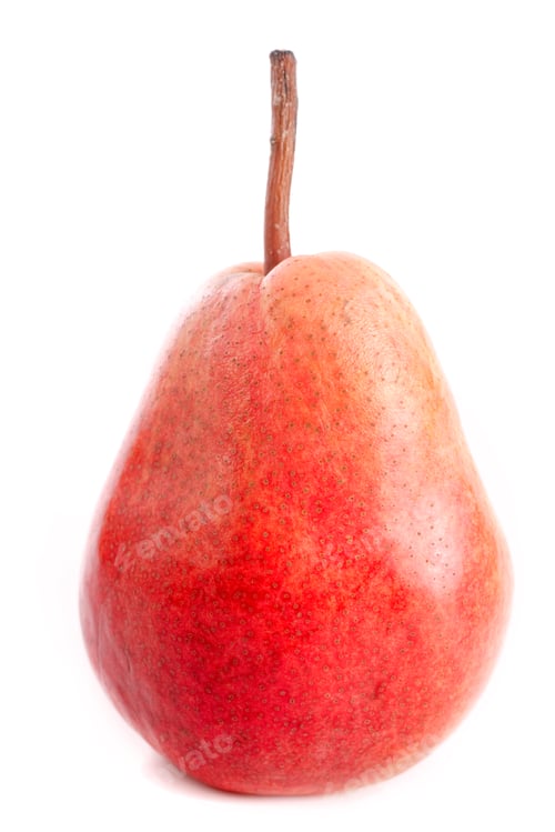 Preview: Louise Bonne pear