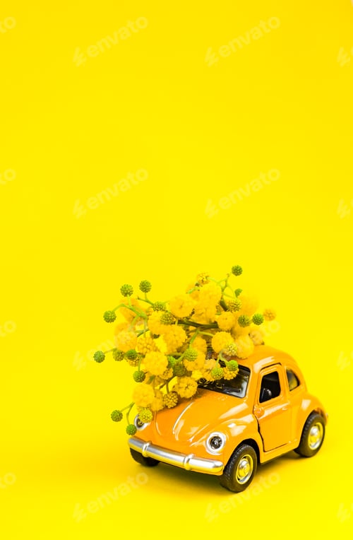Preview: Car toy model delivering bouquet of mimosa flowers