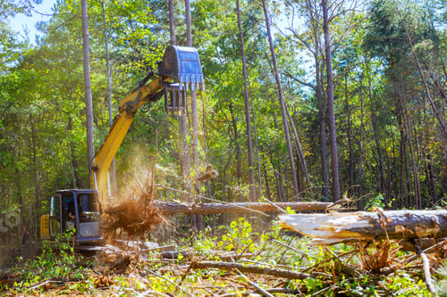 Preview: As preparation for construction of new structure, trees are uprooted using an excavator by a