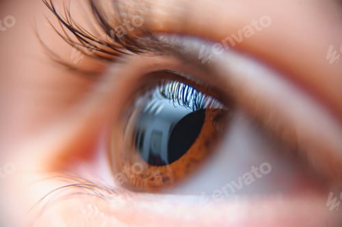 Preview: Closeup of a person's beautiful brown eye