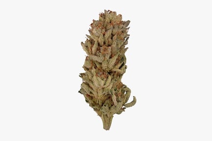 Preview: Mr. Melon Cannabis Flower Bud