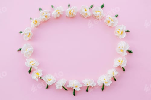 Preview: Frame made of beautiful fresh white daffodil flowers on pastel pink background.