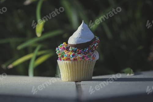 Preview: Decorated Cupcake with Sprinkles in Natural Light