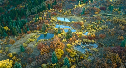 Preview: aerial view of fall colors along the edge of a forest. Kebler Pass, Colorado
