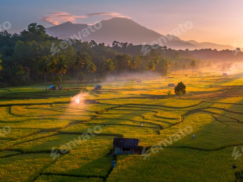 Preview: Beautiful morning view in Indonesia, panoramic landscape of rice fields with mountain