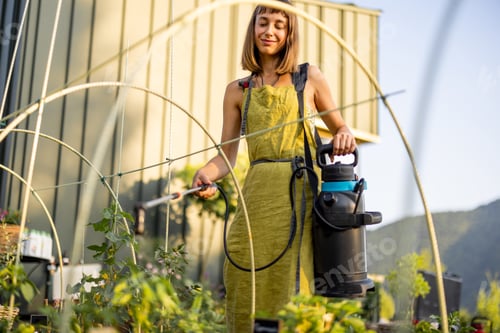 Preview: Organic Gardening in Raised Beds