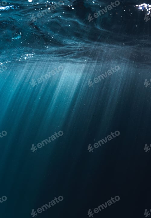 Preview: Underwater environment with reflection of sunlight