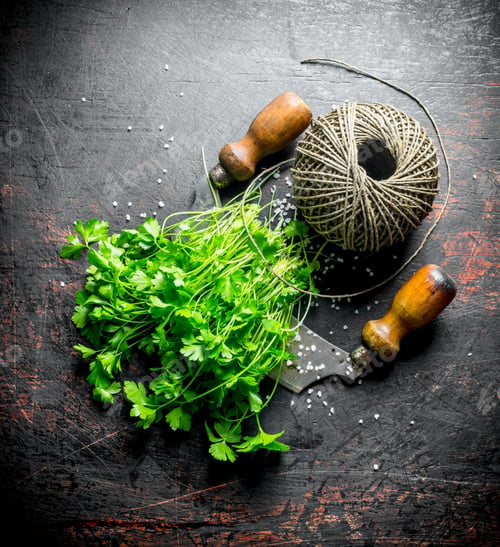 Preview: Fresh parsley with twine.