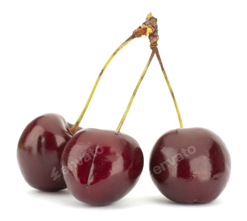 Preview: Cherry isolated on white background