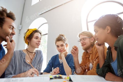 Preview: Diverse college students meeting together discussing their project work or preparing for exams using