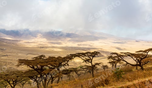 Vorschau: Wunderschöne und dramatisch Landschaft in Ngorongoro