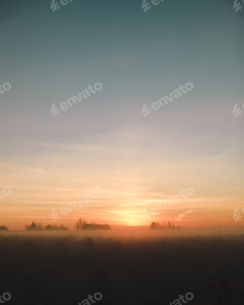Preview: View of the garden at dawn. Foggy morning.