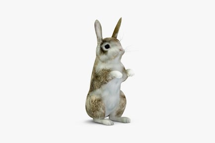 Preview: Rabbit in upright posture