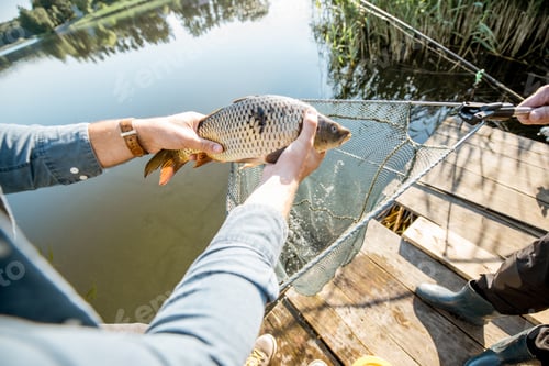 Preview: Fisherman getting fish from the net