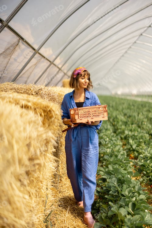Visualização: Mulher com morangos recém-colhidos na fazenda