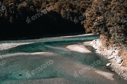 Preview: little river with calm and transparent water with a rocky bottom among the vegetation of the green