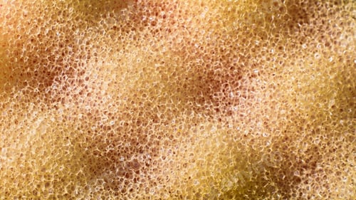 Preview: an orange dishwashing sponge with visible details. background