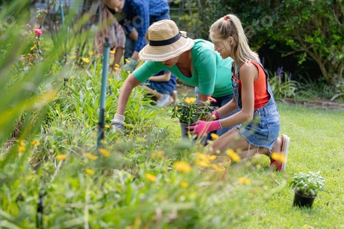 Preview: Happy caucasian granddaughter in garden planting flowers, gardening with her grandmother and family