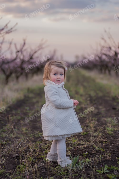 Preview: Little toddler girl in white coat stands in field, among blooming peach rose gardens at sunset