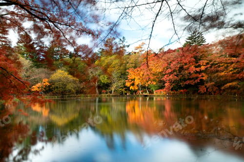 Preview: Reflection of autumn leaves in the lake