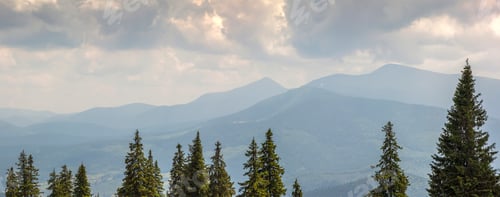 Preview: Majestic view on beautiful fog mountains in mist landscape. Dramatic unusual scene.