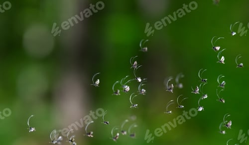 Preview: small bugs flying in green forest