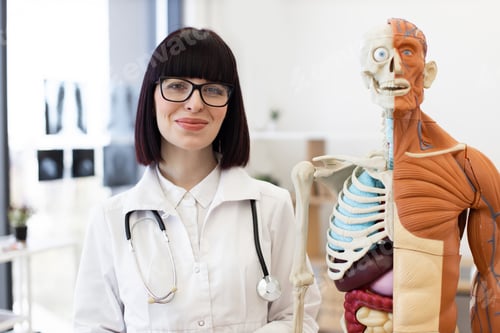 Preview: Smiling female doctor with anatomical model in medical office