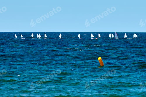 Preview: Blue sea sailing regatta, nautical spectacle sport sailing competition among yacht club