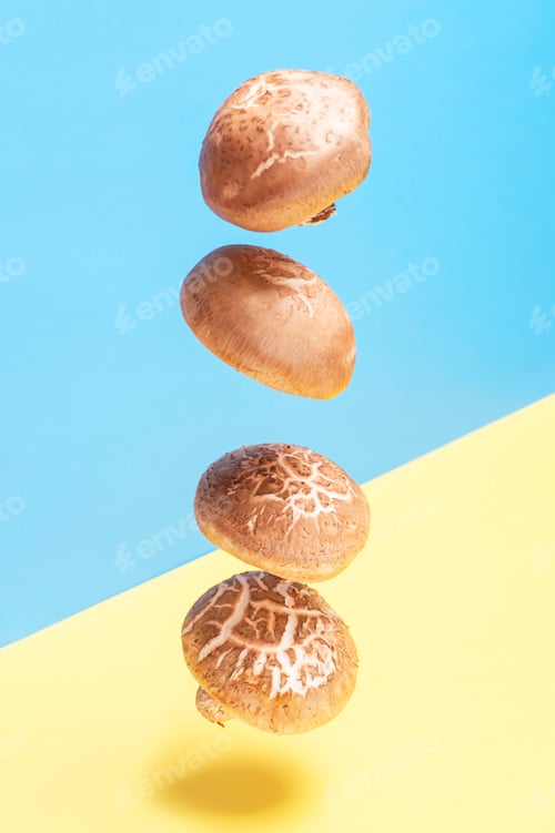Preview: Levitation of shiitake mushrooms on blueand yellow background close -up.