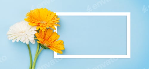 Preview: Colorful gerbera flowers