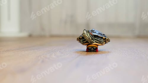 Preview: close-up shot of a turtle placed on a skateboard, rolling across a smooth wooden surface. The